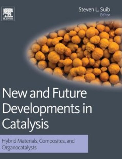 New and Future Developments in Catalysis: Hybrid Materials, Composites, and Organocatalysts