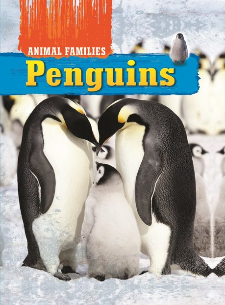 Animal Families: Penguins | NHBS Academic & Professional Books