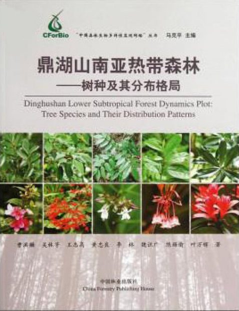 Dinghushan Lower Subtropical Forest Dynamics Plot [Chinese]