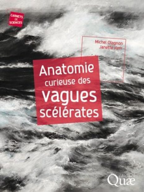 Anatomie Curieuse des Vagues Scélérates