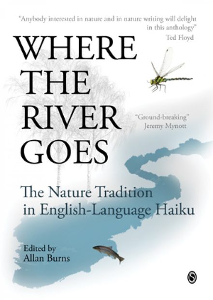 Where the River Goes