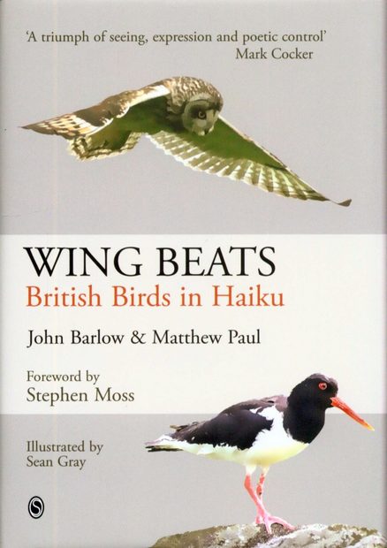 Wing Beats
