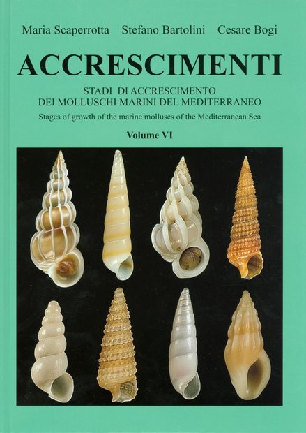 Accrescimenti, Volume 6 [English / Italian]