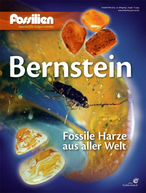 Bernstein: Fossile Harze aus aller Welt