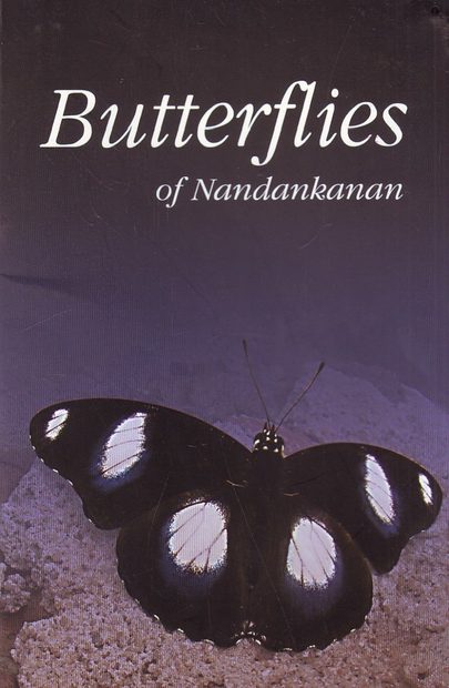 Butterflies of Nandankanan