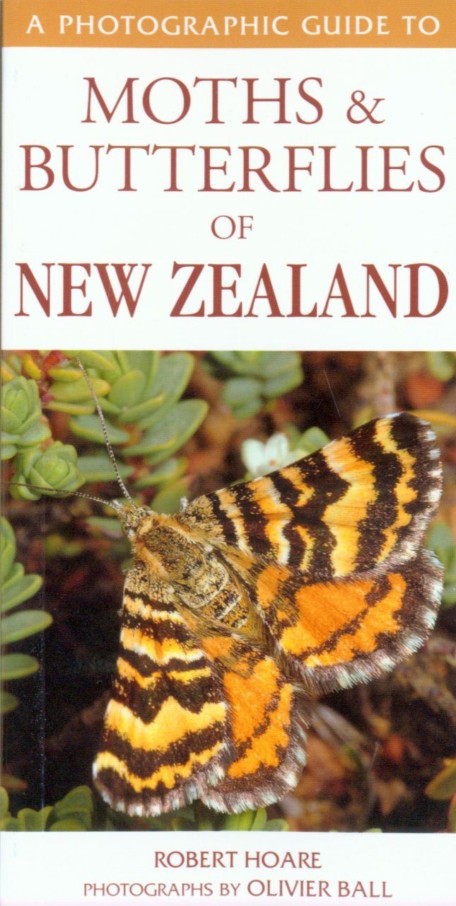 A Photographic Guide To Moths Amp Butterflies Of New Zealand