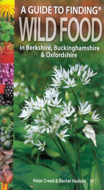 A Guide to Finding Wild Food in Berkshire, Buckinghamshire & Oxfordshire