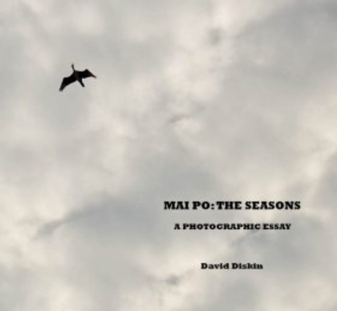 Mai Po: The Seasons - A Photographic Essay