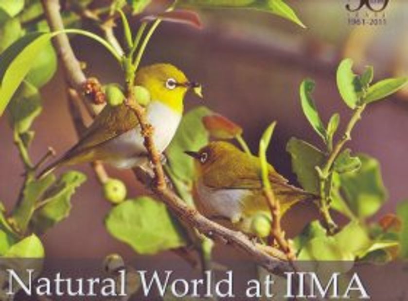 Natural World at IIMA