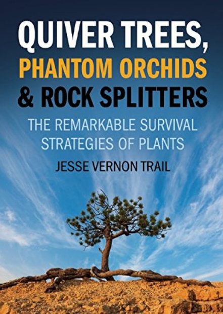 Quiver Trees, Phantom Orchids & Rock Splitters