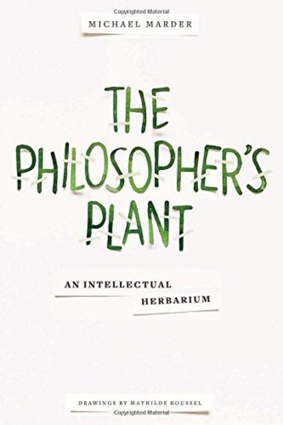 The Philosopher's Plant