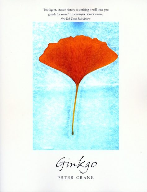 Ginkgo