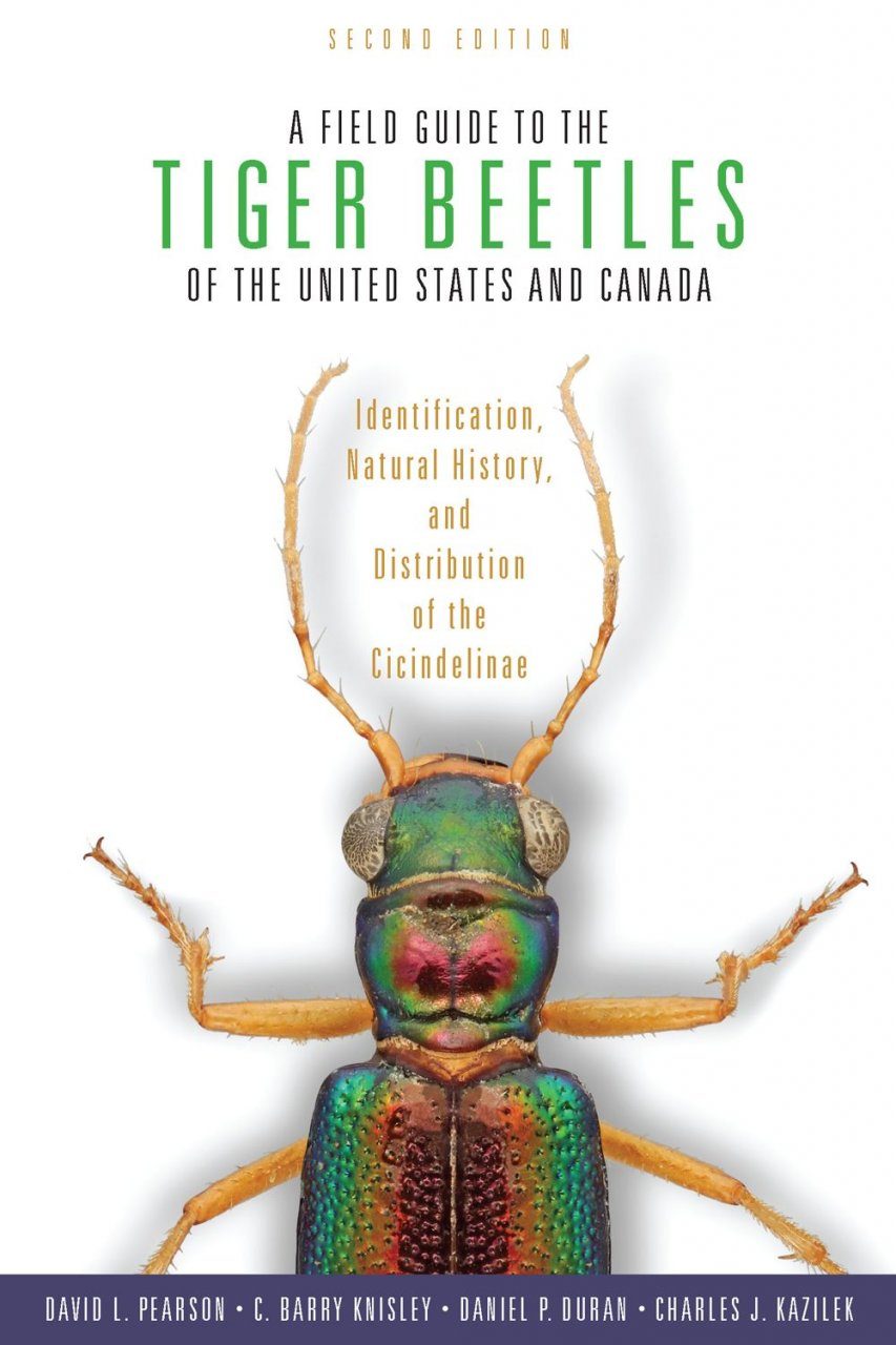 A Field Guide To The Tiger Beetles Of The United States