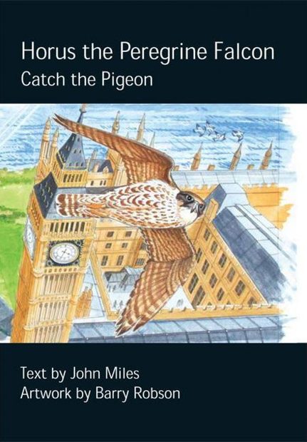 Horus the Peregrine Falcon