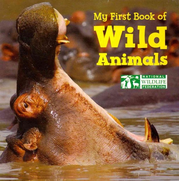My First Book of Wild Animals