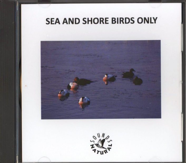 Sea and Shore Birds Only