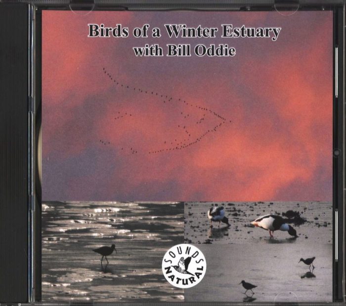 Birds of a Winter Estuary