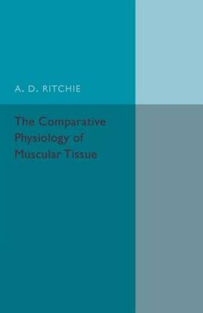 The Comparative Physiology of Muscular Tissue