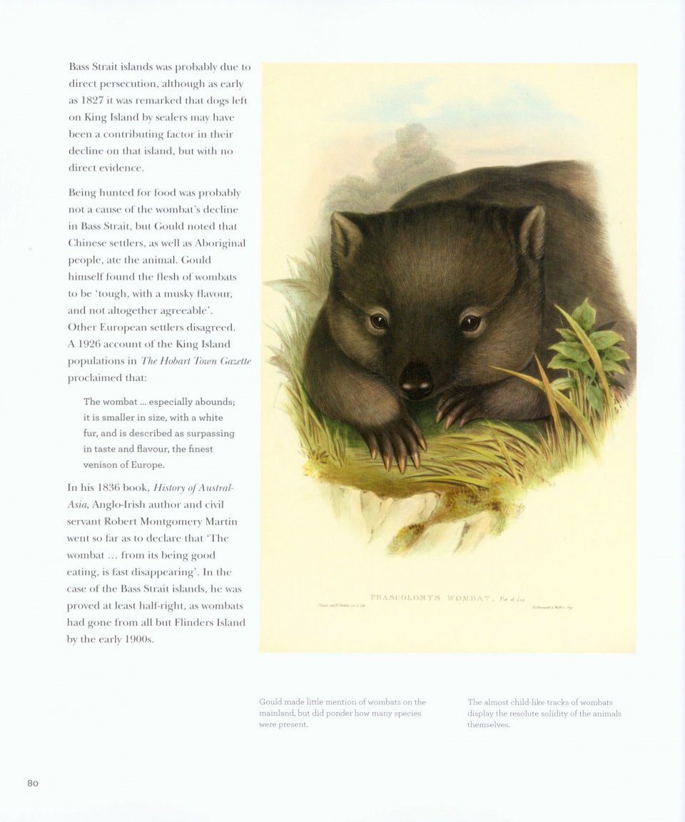 John Gould's Extinct & Endangered Mammals of Australia | NHBS Academic &  Professional Books