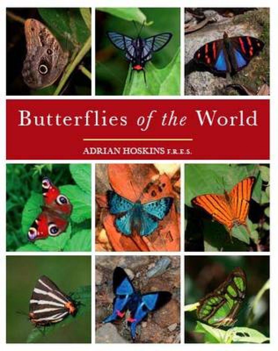 Butterflies Of The World Nhbs Academic Amp Professional Books