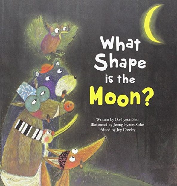 What Shape is the Moon?
