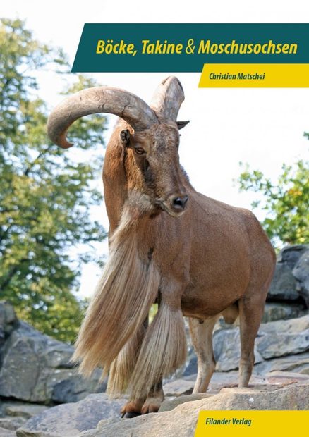 Böcke, Takine & Moschusochsen [Goats, Takins & Muskoxen]