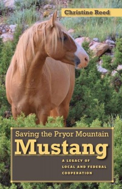 Saving the Pryor Mountain Mustang