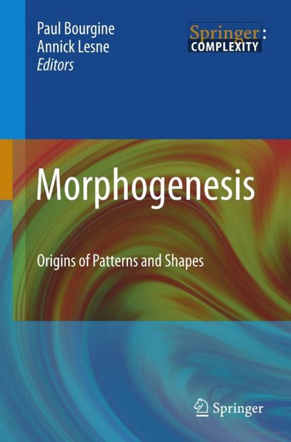 Morphogenesis: Origins of Patterns and Shapes