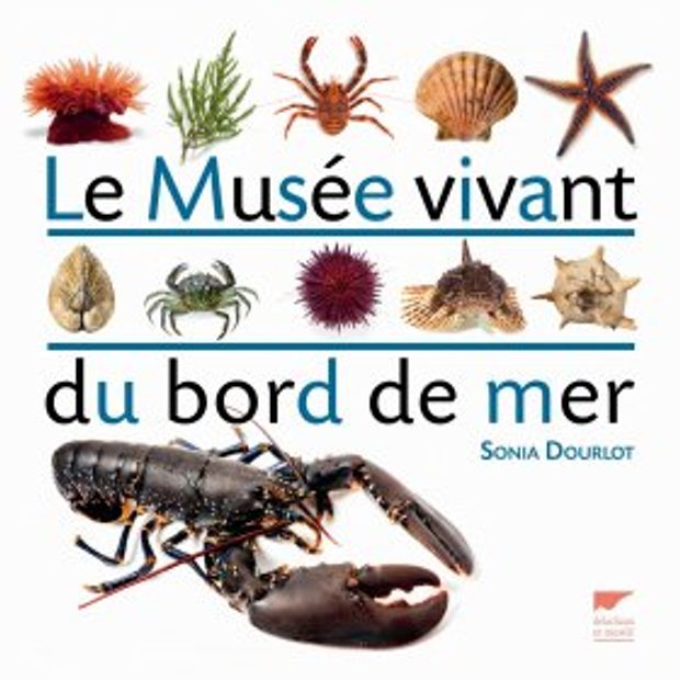 Le Musée Vivant du Bord de Mer