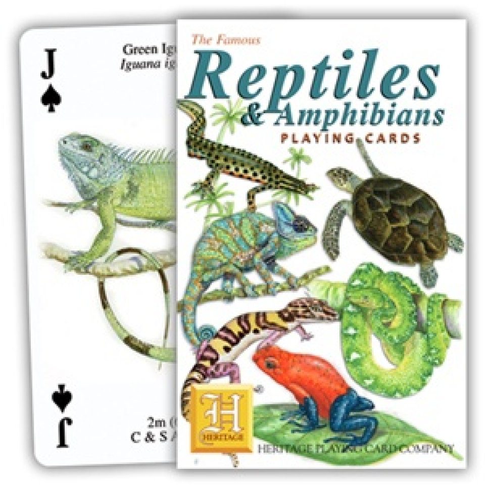 Reptiles & Amphibians of the Natural World Playing Cards New 