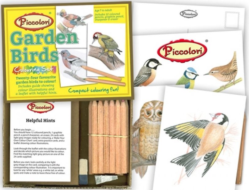 Garden Birds Colouring Set