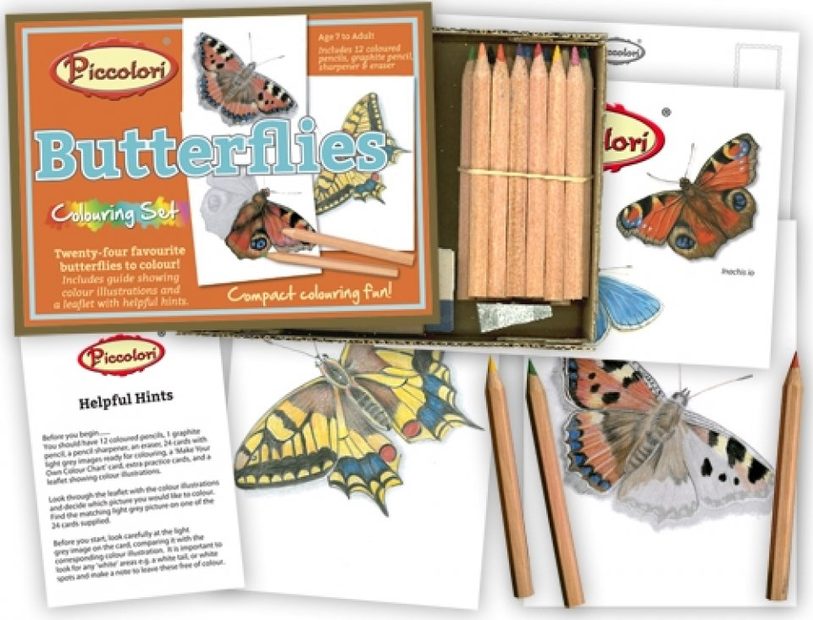 Butterflies Colouring Set