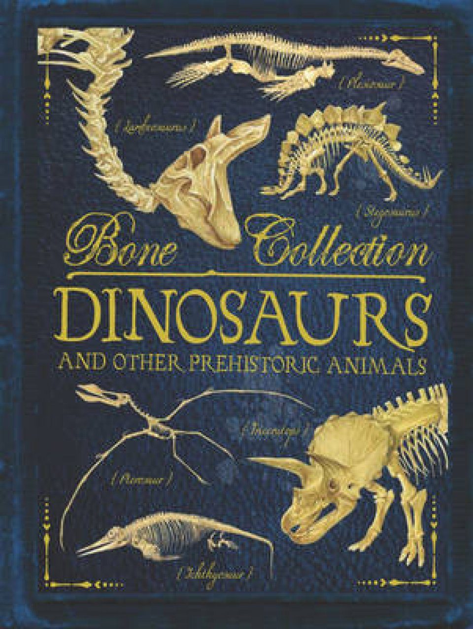 Bone Collections: Dinosaurs | NHBS Academic & Professional ...