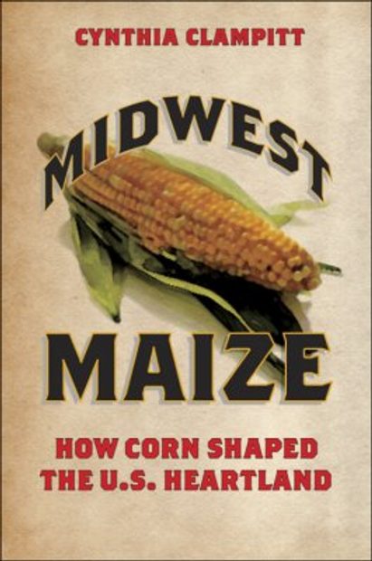 Midwest Maize