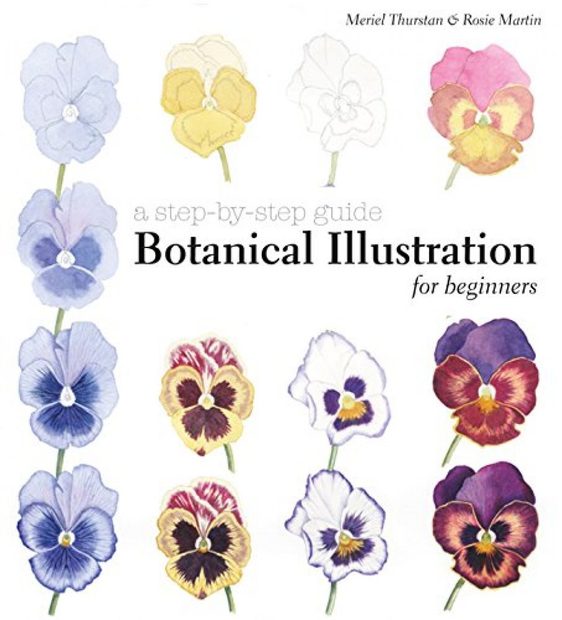 Botanical Illustration for Beginners