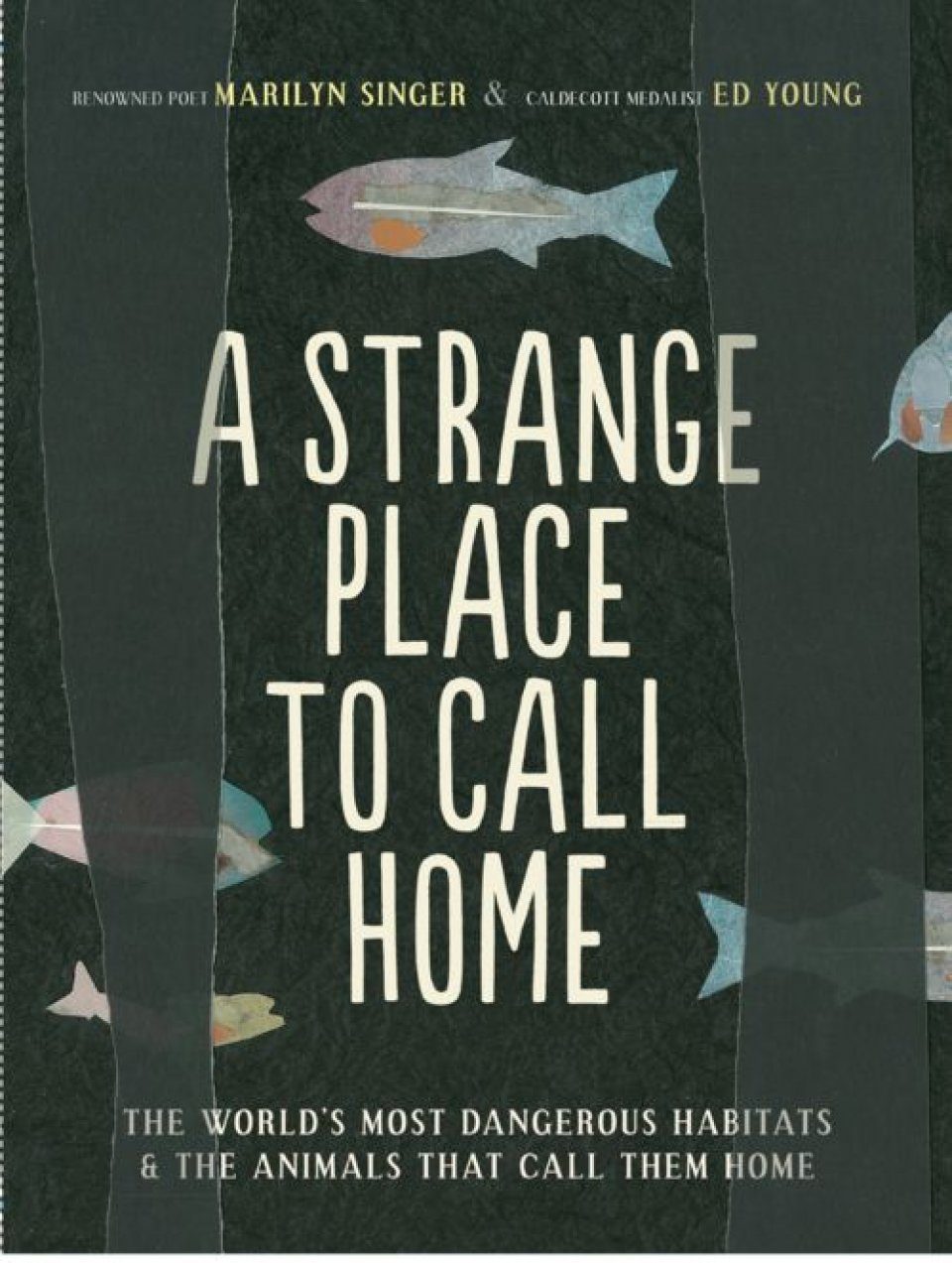 A strange place. A place to Call Home novel.