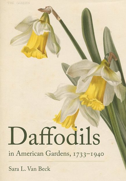 Daffodils in American Gardens, 1733-1940