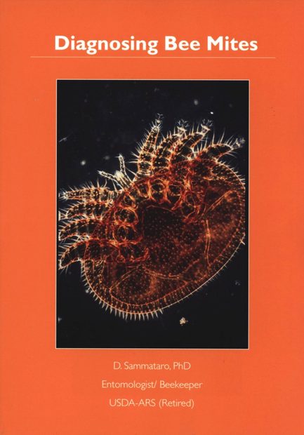 Diagnosing Bee Mites