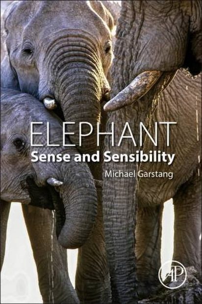 Elephant Sense and Sensibility
