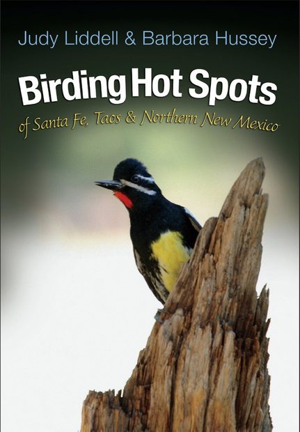 Birding Hot Spots of Santa Fe, Taos, & Northern New Mexico