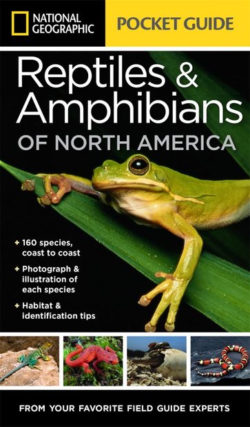 Reptiles & Amphibians of North America