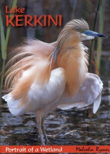 Lake Kerkini: Portrait of a Wetland (All Regions)