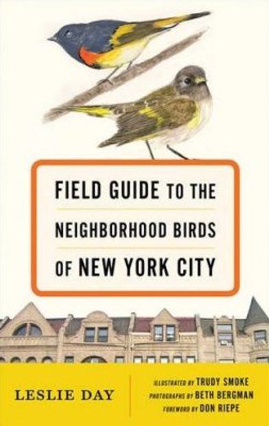 Field Guide to the Neighborhood Birds of New York City