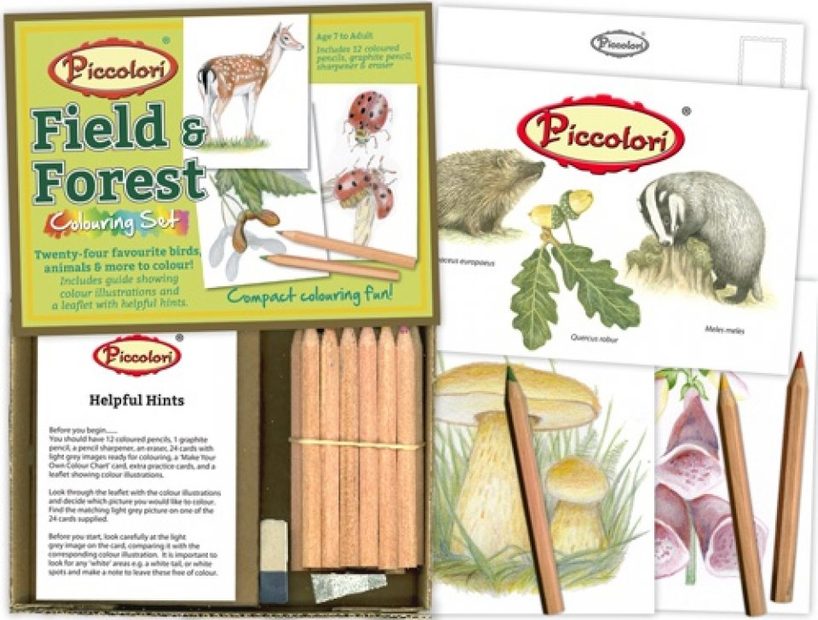 Field & Forest Colouring Set