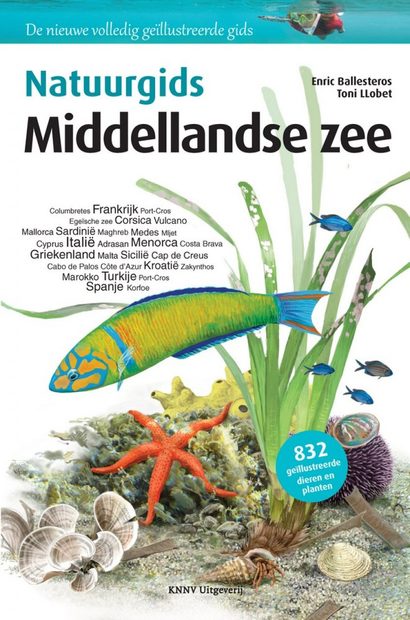 Natuurgids Middellandse Zee [Marine Wildlife of the Mediterranean]