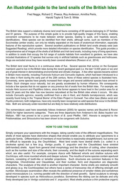 An Illustrated Guide to the Land Snails of the British Isles