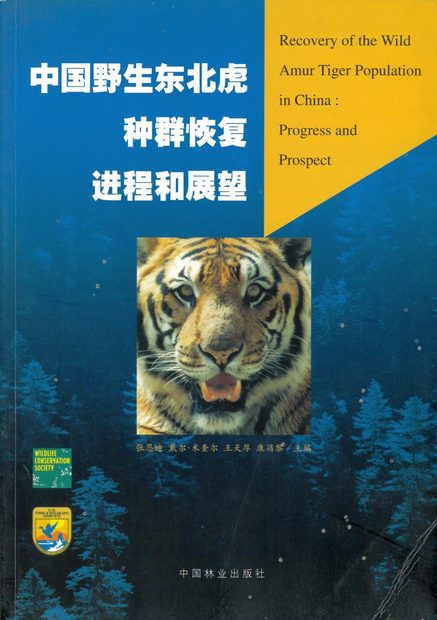 Recovery of the Wild Amur Tiger Population in China: Progress and