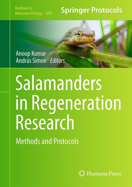 Salamanders in Regeneration Research