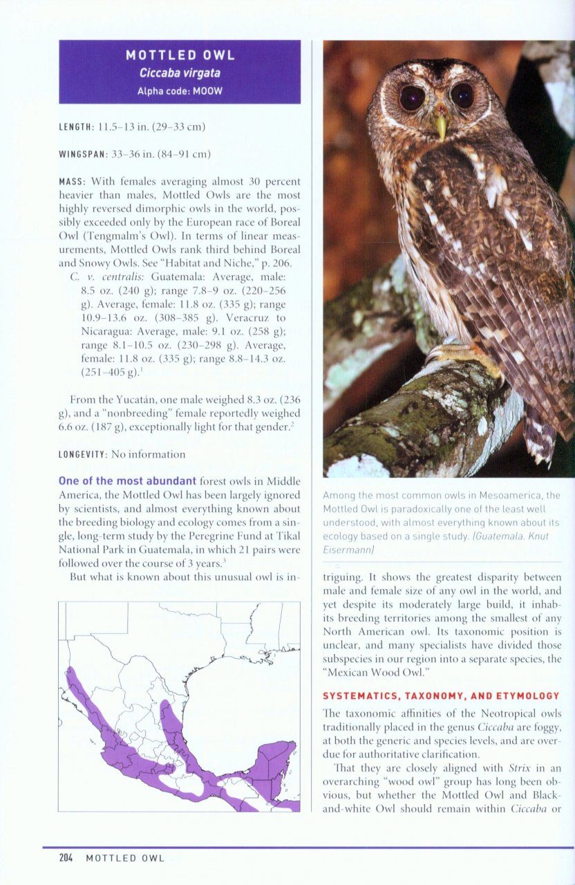Peterson Reference Guide To Owls Of North America And The