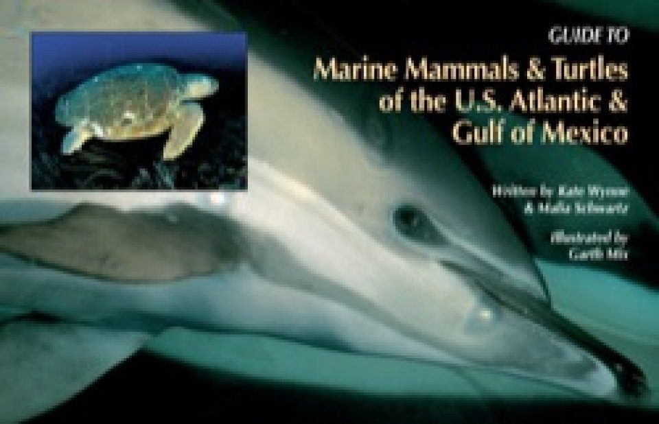 Guide to Marine Mammals and Turtles of the U.S. Atlantic and Gulf of ...